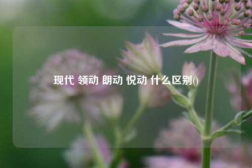 现代 领动 朗动 悦动 什么区别