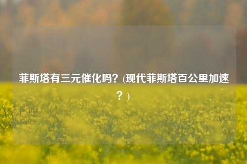 菲斯塔有三元催化吗？(现代菲斯塔百公里加速？)