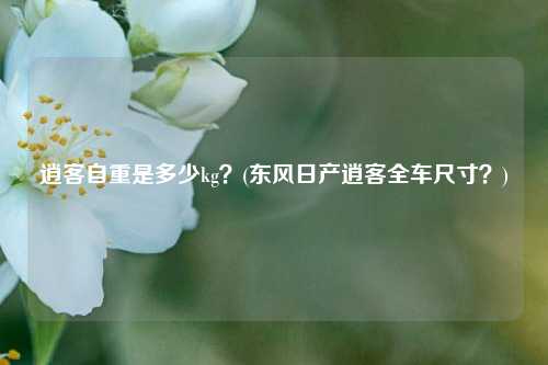 逍客自重是多少kg？(东风日产逍客全车尺寸？)