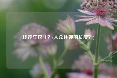 途观车尺寸？(大众途观的长度？)