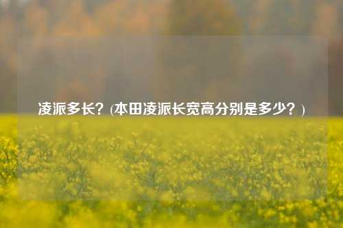 凌派多长？(本田凌派长宽高分别是多少？)