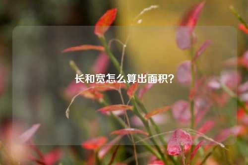 长和宽怎么算出面积？