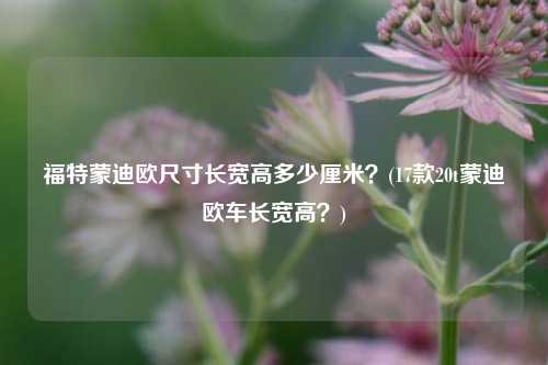 福特蒙迪欧尺寸长宽高多少厘米？(17款20t蒙迪欧车长宽高？)