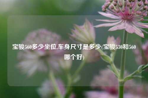 宝骏560多少坐位,车身尺寸是多少(宝骏530和560哪个好)