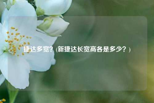 捷达多宽？(新捷达长宽高各是多少？)