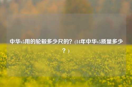 中华v5用的轮毂多少尺的？(14年中华v5质量多少？)