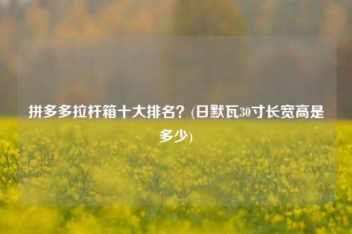 拼多多拉杆箱十大排名？(日默瓦30寸长宽高是多少)