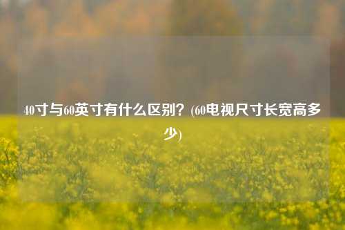 40寸与60英寸有什么区别？(60电视尺寸长宽高多少)