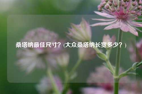 桑塔纳最佳尺寸？(大众桑塔纳长宽多少？)