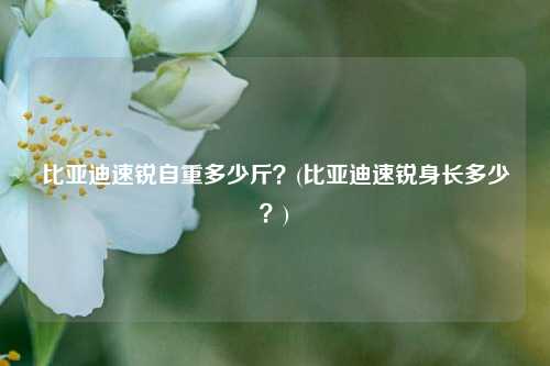 比亚迪速锐自重多少斤？(比亚迪速锐身长多少？)