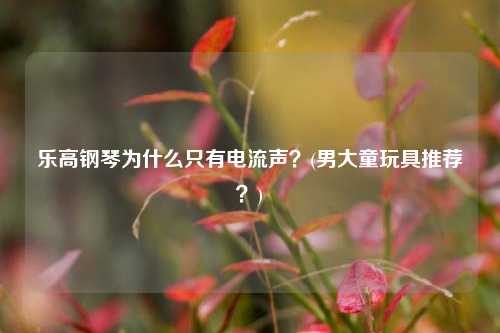 乐高钢琴为什么只有电流声？(男大童玩具推荐？)