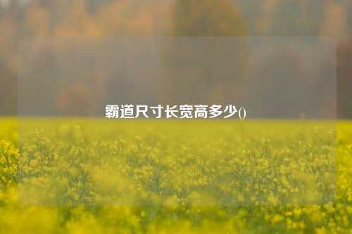 霸道尺寸长宽高多少