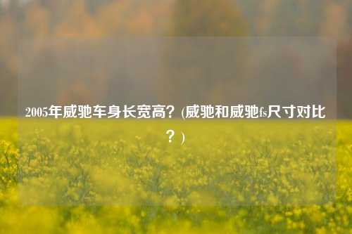 2005年威驰车身长宽高？(威驰和威驰fs尺寸对比？)