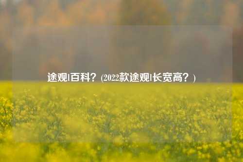 途观l百科？(2022款途观l长宽高？)