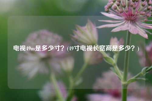 电视49m是多少寸？(49寸电视长宽高是多少？)