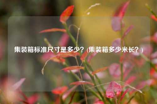 集装箱标准尺寸是多少？(集装箱多少米长？)