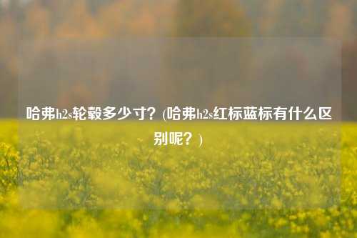 哈弗h2s轮毂多少寸？(哈弗h2s红标蓝标有什么区别呢？)