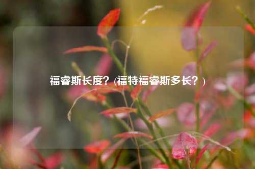 福睿斯长度？(福特福睿斯多长？)