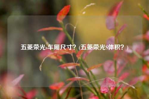 五菱荣光s车厢尺寸？(五菱荣光S体积？)