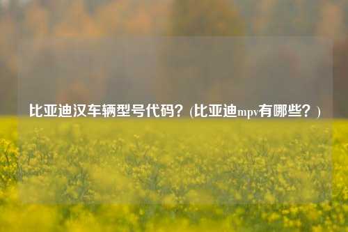 比亚迪汉车辆型号代码？(比亚迪mpv有哪些？)