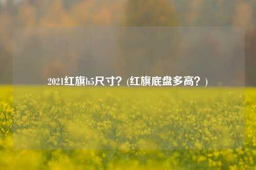 2021红旗h5尺寸？(红旗底盘多高？)