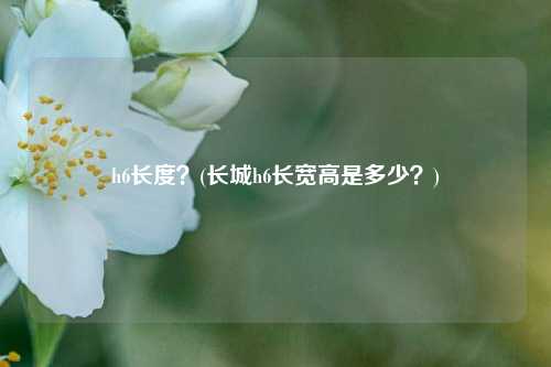 h6长度？(长城h6长宽高是多少？)