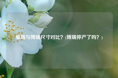 星瑞与博瑞尺寸对比？(博瑞停产了吗？)