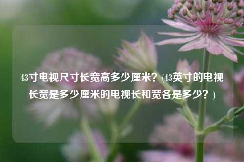 43寸电视尺寸长宽高多少厘米？(43英寸的电视长宽是多少厘米的电视长和宽各是多少？)