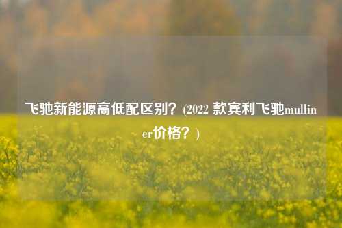 飞驰新能源高低配区别？(2022 款宾利飞驰mulliner价格？)