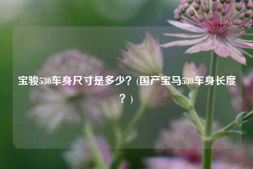 宝骏530车身尺寸是多少？(国产宝马530车身长度？)