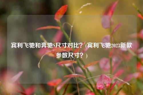 宾利飞驰和奔驰S尺寸对比？(宾利飞驰2023新款参数尺寸？)