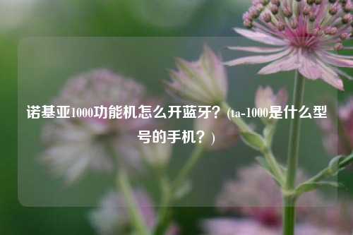 诺基亚1000功能机怎么开蓝牙？(ta-1000是什么型号的手机？)