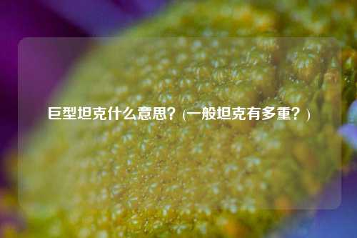 巨型坦克什么意思？(一般坦克有多重？)