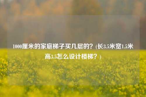 1000厘米的家庭梯子买几层的？(长3.5米宽1.5米高3.5怎么设计楼梯？)