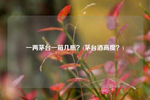 一两茅台一箱几瓶？(茅台酒高度？)