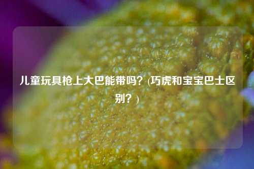 儿童玩具枪上大巴能带吗？(巧虎和宝宝巴士区别？)