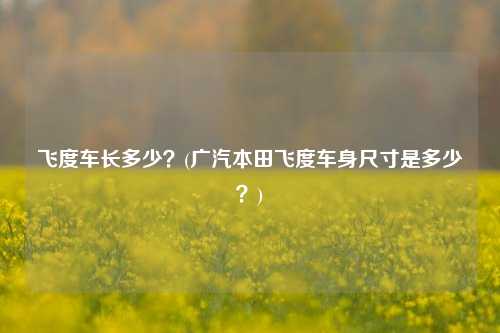 飞度车长多少？(广汽本田飞度车身尺寸是多少？)