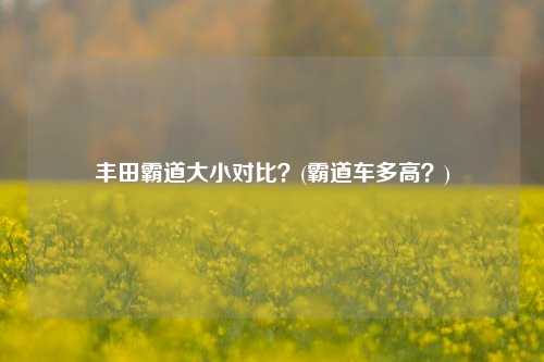 丰田霸道大小对比？(霸道车多高？)