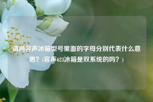 请问容声冰箱型号里面的字母分别代表什么意思？(容声623冰箱是双系统的吗？)