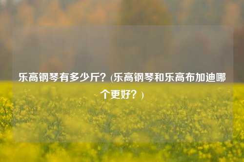 乐高钢琴有多少斤？(乐高钢琴和乐高布加迪哪个更好？)