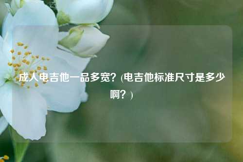 成人电吉他一品多宽？(电吉他标准尺寸是多少啊？)