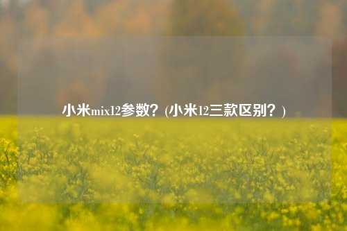 小米mix12参数？(小米12三款区别？)