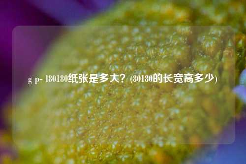 g p- l80180纸张是多大？(80180的长宽高多少)