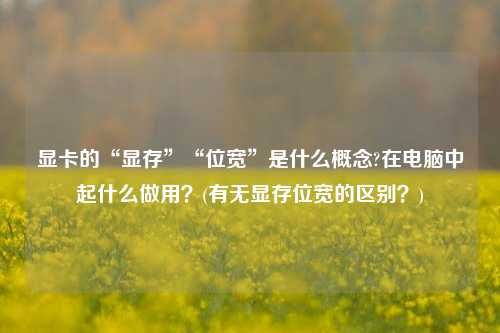 显卡的“显存”“位宽”是什么概念?在电脑中起什么做用？(有无显存位宽的区别？)