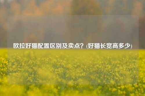 欧拉好猫配置区别及卖点？(好猫长宽高多少)