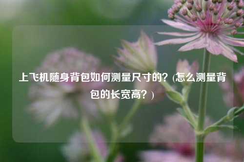 上飞机随身背包如何测量尺寸的？(怎么测量背包的长宽高？)