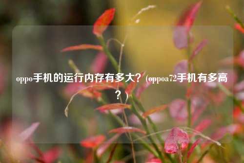 oppo手机的运行内存有多大？(oppoa72手机有多高？)