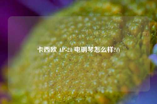 卡西欧 AP-21 电钢琴怎么样?