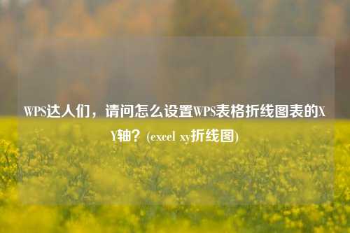 WPS达人们，请问怎么设置WPS表格折线图表的XY轴？(excel xy折线图)