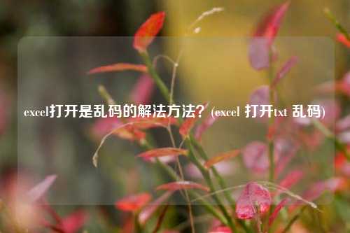 excel打开是乱码的解法方法？(excel 打开txt 乱码)